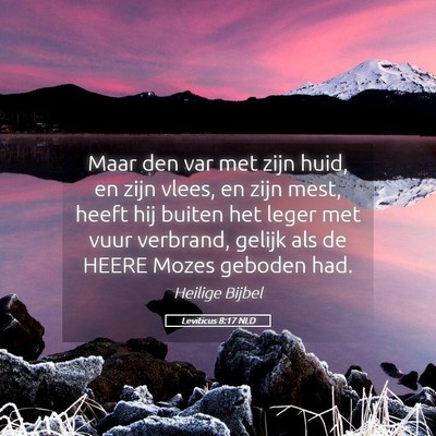 Picture 05 - Leviticus 8:17 NLD - Maar den var met zijn huid, en zijn vlees, en - Bible Verse Picture