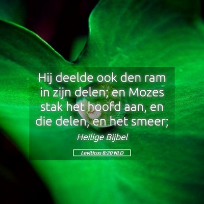 Picture 05 - Leviticus 8:20 NLD - Hij deelde ook den ram in zijn delen; en Mozes - Bible Verse Picture