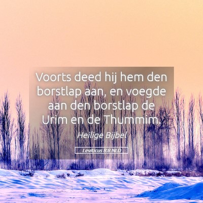 Picture 05 - Leviticus 8:8 NLD - Voorts deed hij hem den borstlap aan, en voegde - Bible Verse Picture