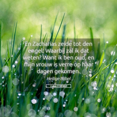 Picture 05 - Lukas 1:18 NLD - En Zacharias zeide tot den engel: Waarbij zal ik - Bible Verse Picture