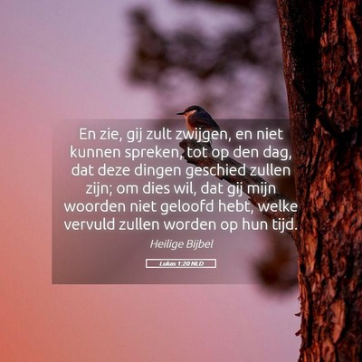 Picture 05 - Lukas 1:20 NLD - En zie, gij zult zwijgen, en niet kunnen spreken, - Bible Verse Picture