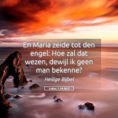 Picture 05 - Lukas 1:34 NLD - En Maria zeide tot den engel: Hoe zal dat wezen, - Bible Verse Picture