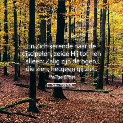 Picture 05 - Lukas 10:23 NLD - En Zich kerende naar de discipelen, zeide Hij tot - Bible Verse Picture