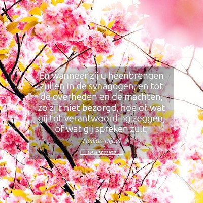 Picture 05 - Lukas 12:11 NLD - En wanneer zij u heenbrengen zullen in de - Bible Verse Picture