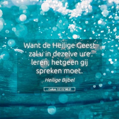 Picture 05 - Lukas 12:12 NLD - Want de Heilige Geest zal u in dezelve ure leren, - Bible Verse Picture