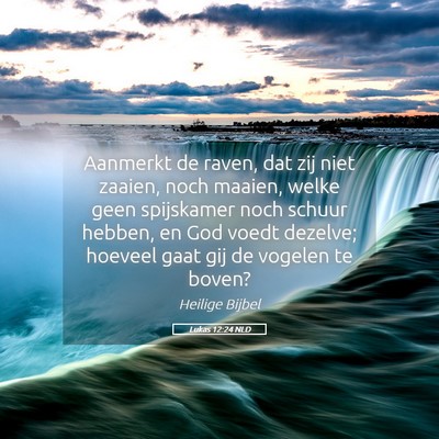 Picture 05 - Lukas 12:24 NLD - Aanmerkt de raven, dat zij niet zaaien, noch - Bible Verse Picture