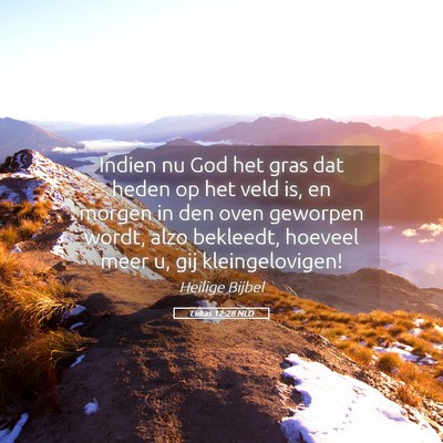 Picture 05 - Lukas 12:28 NLD - Indien nu God het gras dat heden op het veld is, - Bible Verse Picture