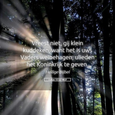 Picture 05 - Lukas 12:32 NLD - Vreest niet, gij klein kuddeken, want het is uws - Bible Verse Picture