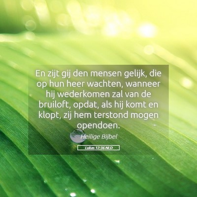 Picture 05 - Lukas 12:36 NLD - En zijt gij den mensen gelijk, die op hun heer - Bible Verse Picture