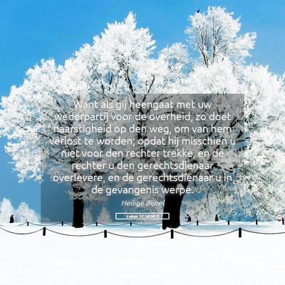 Picture 05 - Lukas 12:58 NLD - Want als gij heengaat met uw wederpartij voor de - Bible Verse Picture