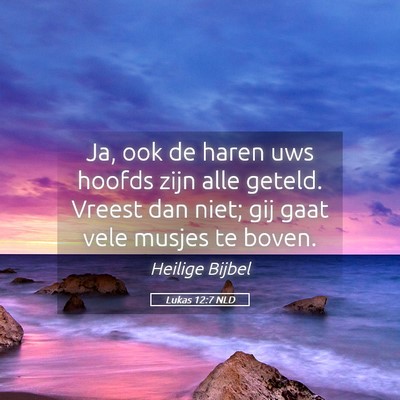 Picture 05 - Lukas 12:7 NLD - Ja, ook de haren uws hoofds zijn alle geteld. - Bible Verse Picture