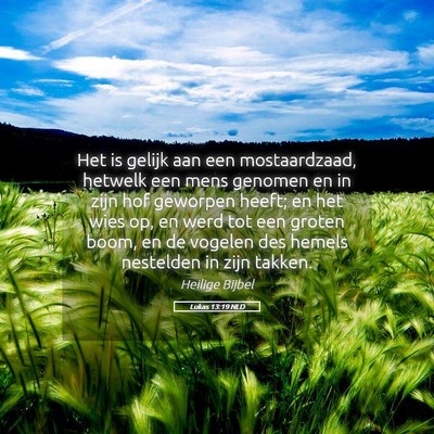 Picture 05 - Lukas 13:19 NLD - Het is gelijk aan een mostaardzaad, hetwelk een - Bible Verse Picture