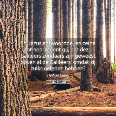 Picture 05 - Lukas 13:2 NLD - En Jezus antwoordde, en zeide tot hen: Meent gij, - Bible Verse Picture