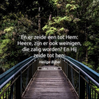 Picture 05 - Lukas 13:23 NLD - En er zeide een tot Hem: Heere, zijn er ook - Bible Verse Picture
