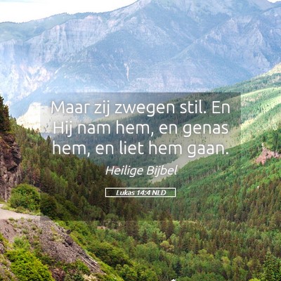 Picture 05 - Lukas 14:4 NLD - Maar zij zwegen stil. En Hij nam hem, en genas - Bible Verse Picture