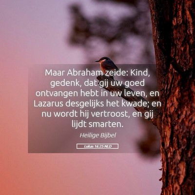Picture 05 - Lukas 16:25 NLD - Maar Abraham zeide: Kind, gedenk, dat gij uw goed - Bible Verse Picture