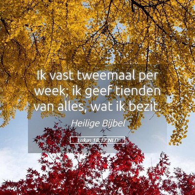 Picture 05 - Lukas 18:12 NLD - Ik vast tweemaal per week; ik geef tienden van - Bible Verse Picture