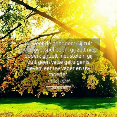 Picture 05 - Lukas 18:20 NLD - Gij weet de geboden: Gij zult geen overspel doen; - Bible Verse Picture