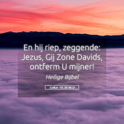 Picture 05 - Lukas 18:38 NLD - En hij riep, zeggende: Jezus, Gij Zone Davids, - Bible Verse Picture
