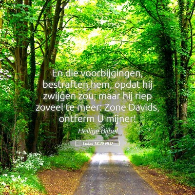 Picture 05 - Lukas 18:39 NLD - En die voorbijgingen, bestraften hem, opdat hij - Bible Verse Picture