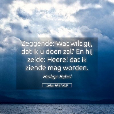 Picture 05 - Lukas 18:41 NLD - Zeggende: Wat wilt gij, dat Ik u doen zal? En hij - Bible Verse Picture