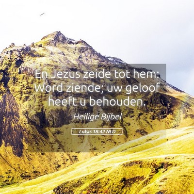 Picture 05 - Lukas 18:42 NLD - En Jezus zeide tot hem: Word ziende; uw geloof - Bible Verse Picture