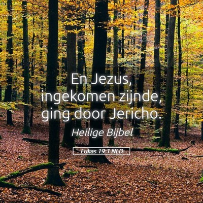 Picture 05 - Lukas 19:1 NLD - En Jezus, ingekomen zijnde, ging door - Bible Verse Picture