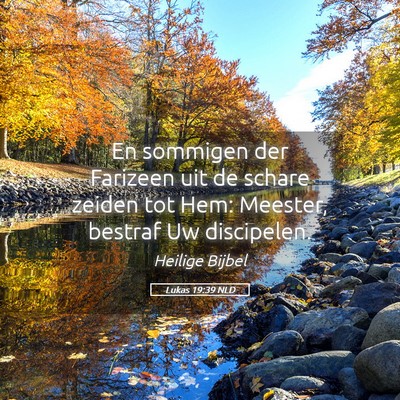 Picture 05 - Lukas 19:39 NLD - En sommigen der Farizeen uit de schare zeiden tot - Bible Verse Picture