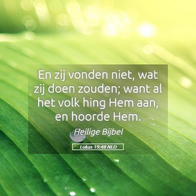 Picture 05 - Lukas 19:48 NLD - En zij vonden niet, wat zij doen zouden; want al - Bible Verse Picture