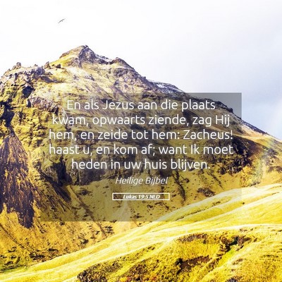Picture 05 - Lukas 19:5 NLD - En als Jezus aan die plaats kwam, opwaarts - Bible Verse Picture