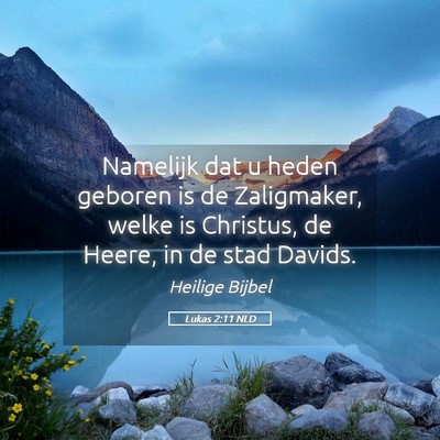 Picture 05 - Lukas 2:11 NLD - Namelijk dat u heden geboren is de Zaligmaker, - Bible Verse Picture
