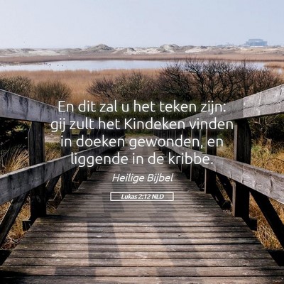 Picture 05 - Lukas 2:12 NLD - En dit zal u het teken zijn: gij zult het - Bible Verse Picture