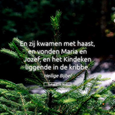 Picture 05 - Lukas 2:16 NLD - En zij kwamen met haast, en vonden Maria en - Bible Verse Picture
