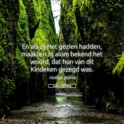 Picture 05 - Lukas 2:17 NLD - En als zij Het gezien hadden, maakten zij alom - Bible Verse Picture