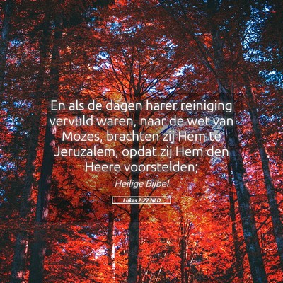 Picture 05 - Lukas 2:22 NLD - En als de dagen harer reiniging vervuld waren, - Bible Verse Picture