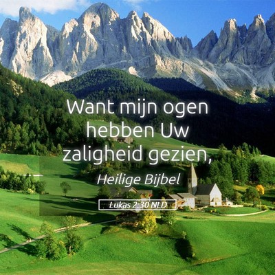 Picture 05 - Lukas 2:30 NLD - Want mijn ogen hebben Uw zaligheid - Bible Verse Picture