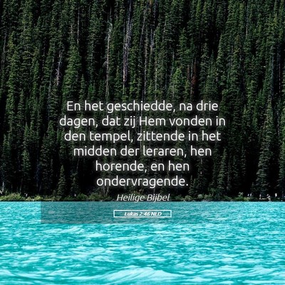Picture 05 - Lukas 2:46 NLD - En het geschiedde, na drie dagen, dat zij Hem - Bible Verse Picture