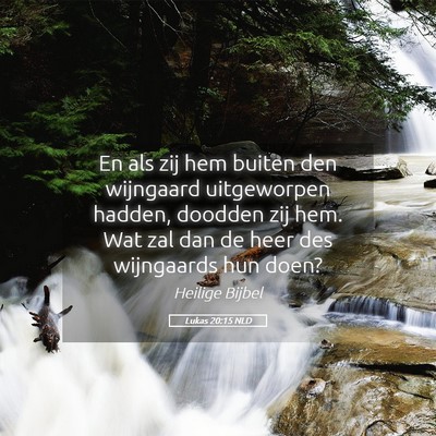 Picture 05 - Lukas 20:15 NLD - En als zij hem buiten den wijngaard uitgeworpen - Bible Verse Picture