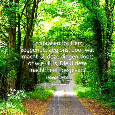 Picture 05 - Lukas 20:2 NLD - En spraken tot Hem zeggende: Zeg ons, door wat - Bible Verse Picture