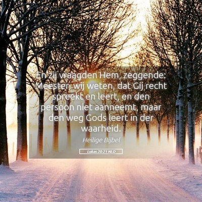 Picture 05 - Lukas 20:21 NLD - En zij vraagden Hem, zeggende: Meester, wij - Bible Verse Picture
