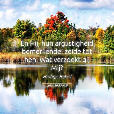 Picture 05 - Lukas 20:23 NLD - En Hij, hun arglistigheid bemerkende, zeide tot - Bible Verse Picture