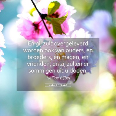 Picture 05 - Lukas 21:16 NLD - En gij zult overgeleverd worden ook van ouders, - Bible Verse Picture
