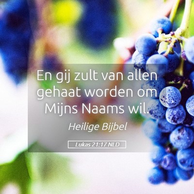 Picture 05 - Lukas 21:17 NLD - En gij zult van allen gehaat worden om Mijns - Bible Verse Picture