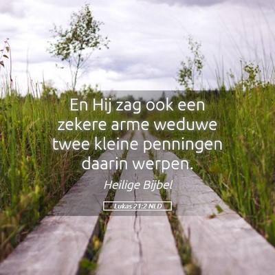 Picture 05 - Lukas 21:2 NLD - En Hij zag ook een zekere arme weduwe twee kleine - Bible Verse Picture