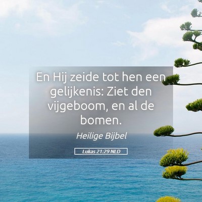 Picture 05 - Lukas 21:29 NLD - En Hij zeide tot hen een gelijkenis: Ziet den - Bible Verse Picture