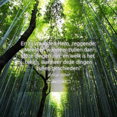 Picture 05 - Lukas 21:7 NLD - En zij vraagden Hem, zeggende: Meester, wanneer - Bible Verse Picture