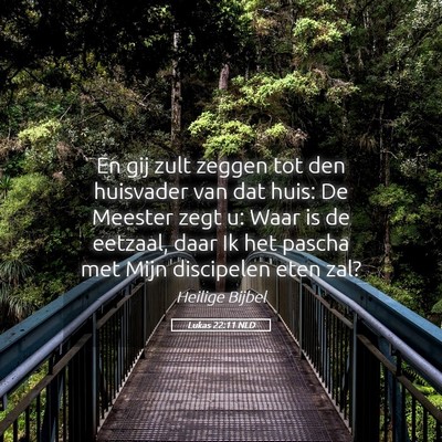 Picture 05 - Lukas 22:11 NLD - En gij zult zeggen tot den huisvader van dat - Bible Verse Picture