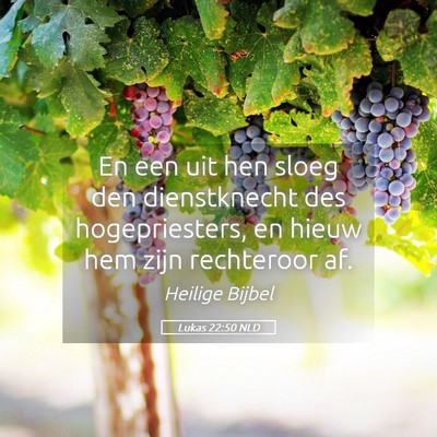 Picture 05 - Lukas 22:50 NLD - En een uit hen sloeg den dienstknecht des - Bible Verse Picture