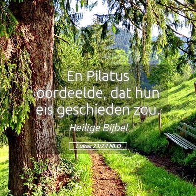 Picture 05 - Lukas 23:24 NLD - En Pilatus oordeelde, dat hun eis geschieden - Bible Verse Picture