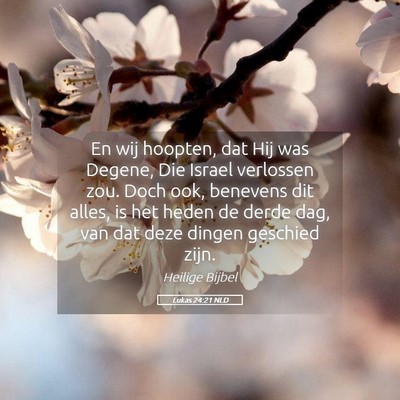 Picture 05 - Lukas 24:21 NLD - En wij hoopten, dat Hij was Degene, Die Israel - Bible Verse Picture